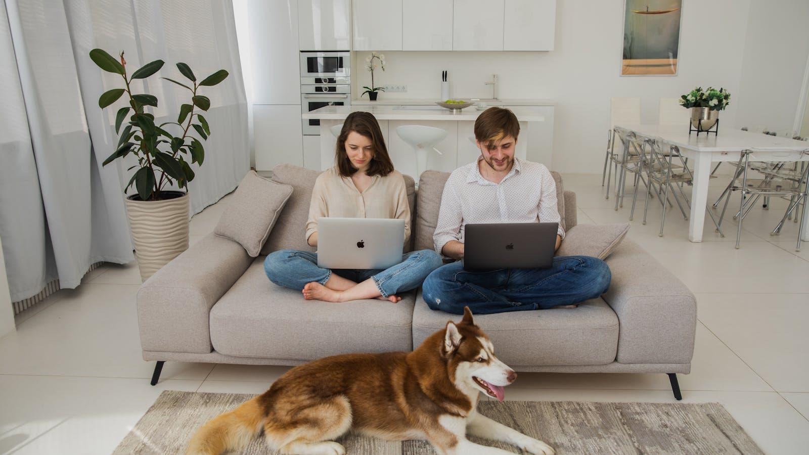 Two people sharing a living room with a dog while coordinating from laptops